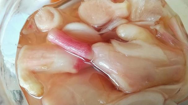 新生姜の甘酢漬けの写真