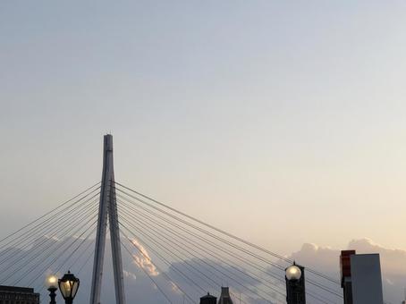 そら そらの写真