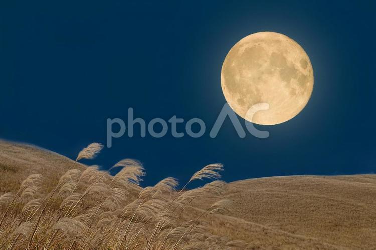 秋の十五夜のお月見｜中秋の名月とすすき 満月,十五夜,お月見の写真素材