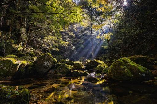 三重-【赤目四十八滝（紅葉）】 赤目四十八滝,赤目四八滝,川の写真素材