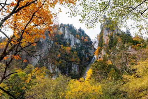 層雲峡の紅葉 層雲峡,紅葉,銀河の滝の写真素材