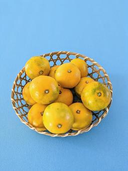 ざるにみかんの写真