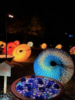花手水 花手水,足利学校,夜の写真素材