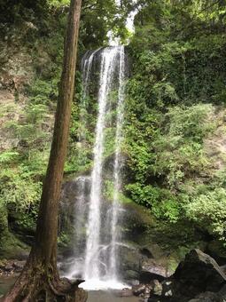 滝 滝の写真