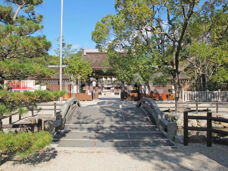 伊弉諾神宮 伊弉諾神宮,石橋,太鼓橋の写真素材