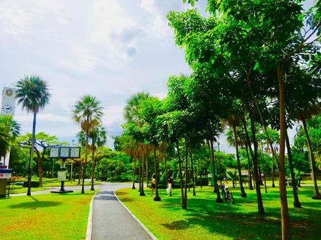 緑豊かなチャトチャック公園 緑豊かなチャトチャック公園の写真