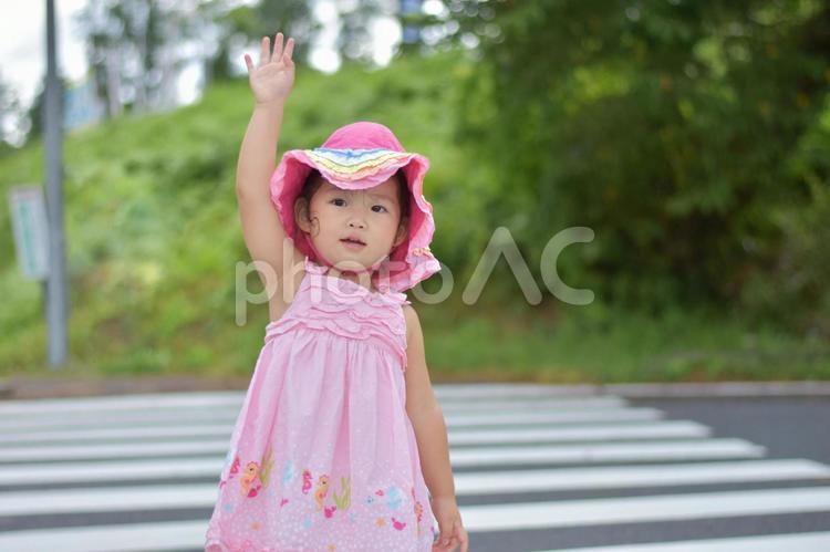 横断歩道を渡る子供 横断歩道,手を挙げる,子供の写真素材