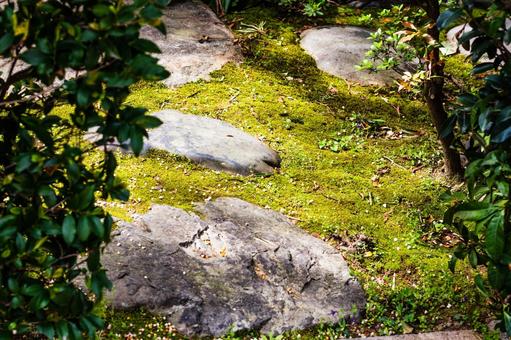 日本の庭石と苔 日本の庭石と苔 日本庭園,庭,庭の置物の写真素材