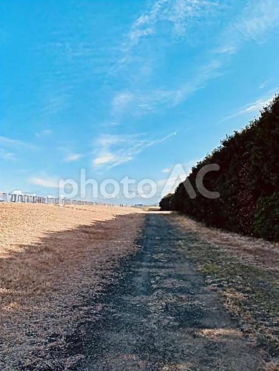 海とのふれあい広場 大阪湾,海とのふれあい広場,空の写真素材