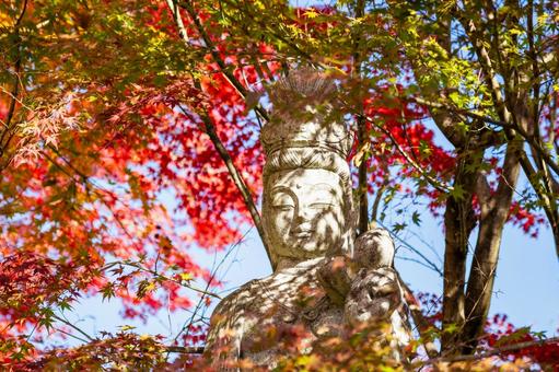 称名寺の紅葉⒇ 秋,紅葉,称名寺の写真素材