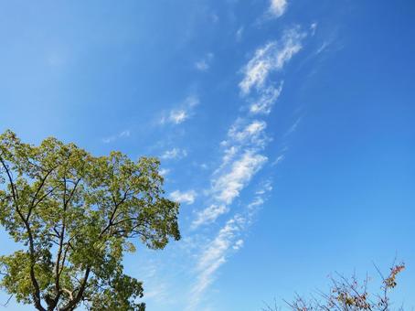 雲のある空 雲のある空の写真