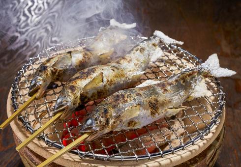 七輪で焼く鮎の塩焼き 七輪で焼く鮎の塩焼きの写真