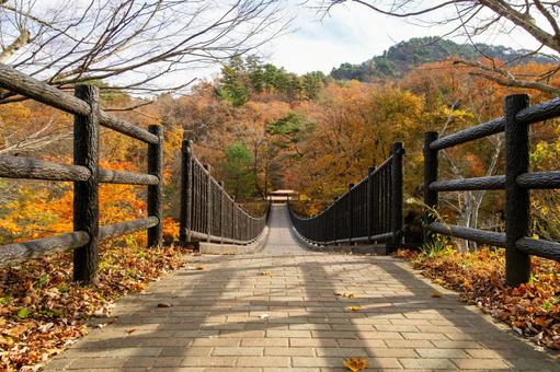 晩秋の不動尊公園キャンプ場⑺ 晩秋,紅葉,橋の写真素材