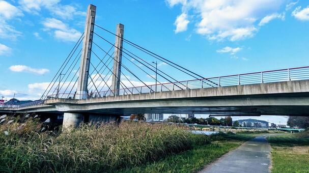 遊歩道の上の大橋 大橋,橋,橋脚の写真素材