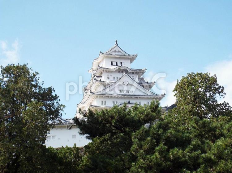 【風景写真】姫路城の風景 姫路城,天守閣,木造の写真素材