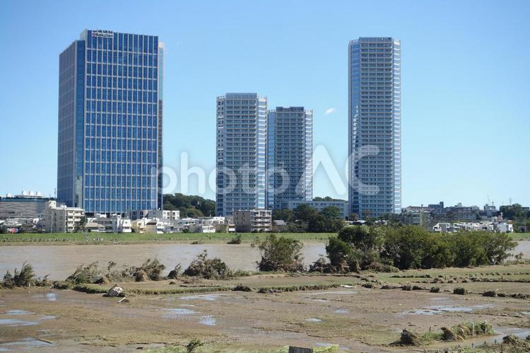 台風一過の二子玉川 台風一過,快晴,二子玉川の写真素材