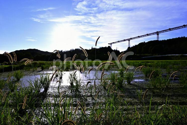田舎の風景 田園,風景,田舎の写真素材