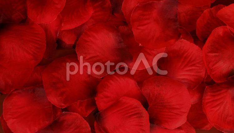 ハロウィンの赤いイメージ 薔薇,赤,真紅の写真素材