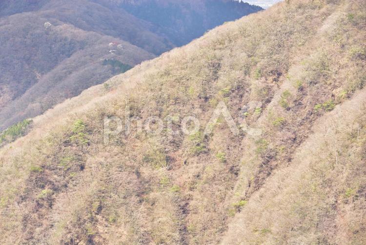 山の冬景色 風景,冬,山の写真素材