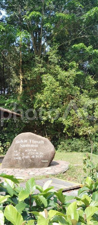 ブキテマ自然保護区の巨石 シンガポール,ブキテマ自然保護区,bukitの写真素材