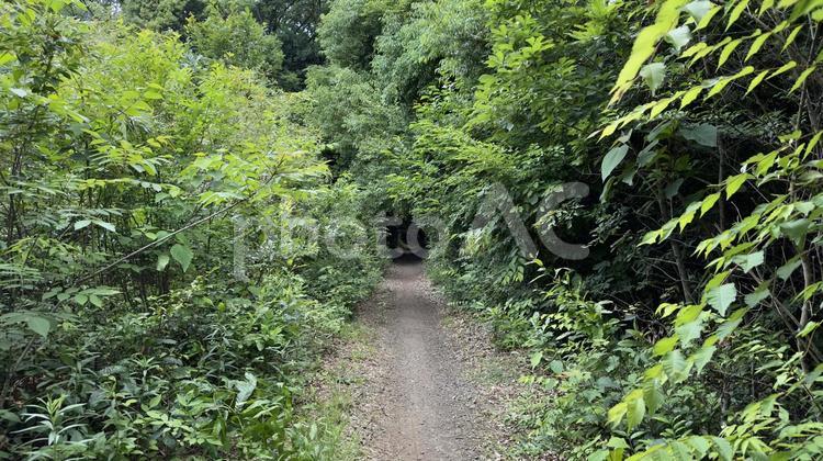 この道は続いてるの？ 風景,自然,景色の写真素材