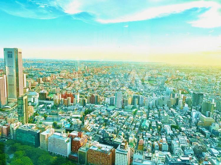 高所からの新宿の街並みの写真素材2 街並み,高所,新宿の写真素材