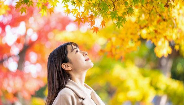 紅葉を見上げる女性の横顔 紅葉を見上げる女性の横顔の写真
