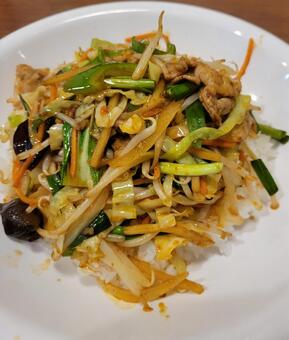四川飯 四川飯,中華料理,野菜の写真素材