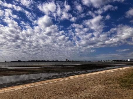 ふなばし三番瀬海浜公園９ 海浜公園,干潟,秋空の写真素材
