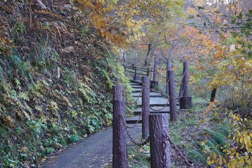鳴子峡 遊歩道 鳴子,宮城県,大崎市の写真素材