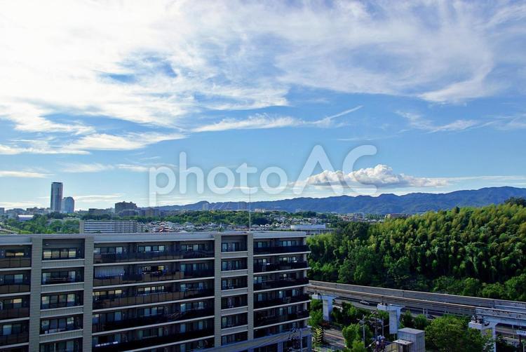 大阪北摂の夏の風景 北摂,大阪モノレール,軌道の写真素材