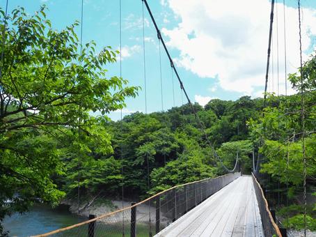 夏の景色25 夏の景色25の写真