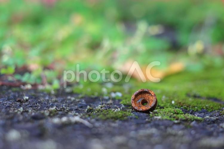 文明の忘れ物 ネジ,ナット,金属の写真素材