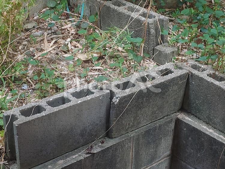 コンクリートブロックと雑草の群れ コンクリートブロック,ブロック,コンクリートの写真素材