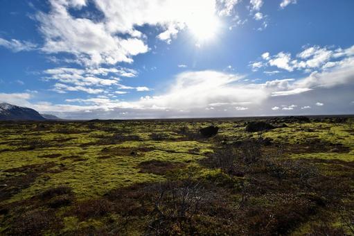 太陽と青空が広がる苔の原野:アイスランド 太陽と青空が広がる苔の原野:アイスランド アイスランド,風景,景色の写真素材