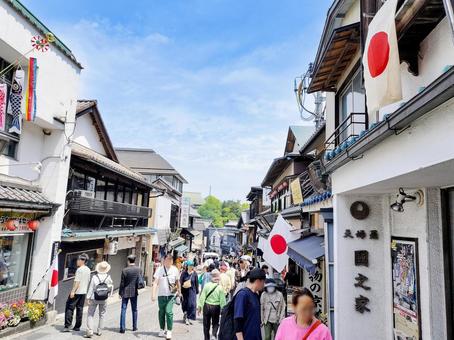成田山新勝寺の表参道の賑わい 成田山新勝寺の表参道の賑わい 成田山,新勝寺,表参道の写真素材