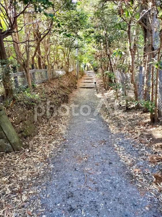 鎌倉の「寿福寺」境内裏手への小径 寿福寺,境内,小径の写真素材