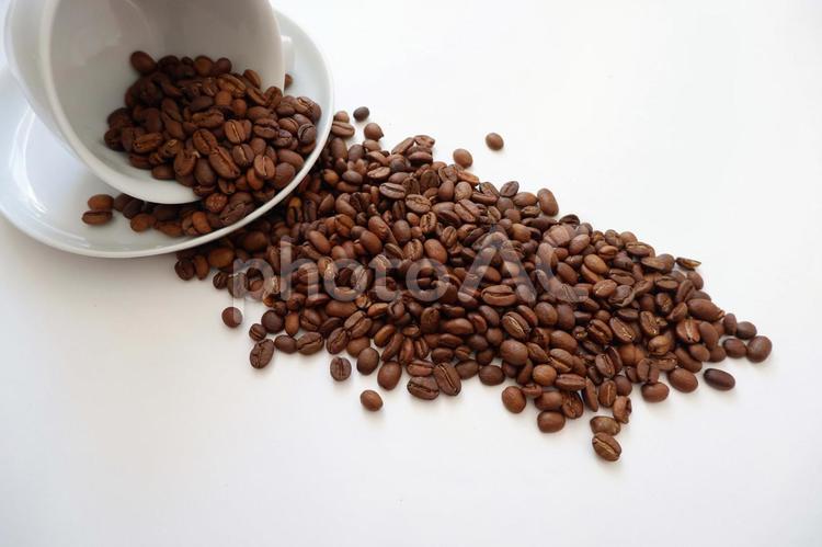 白い背景にカップからこぼれたコーヒー豆 コーヒー豆,コーヒー,粒の写真素材