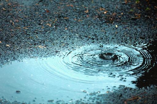 雨の波形ー自然の美 雨の波形ー自然の美 雨のしずく,雨の波形,雨の日の写真素材