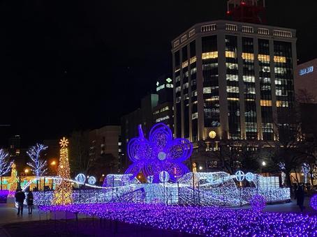 大通公園 大通公園 ライトアップ,街の灯り,札幌の写真素材