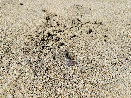 Photo, sand, background, texture, 