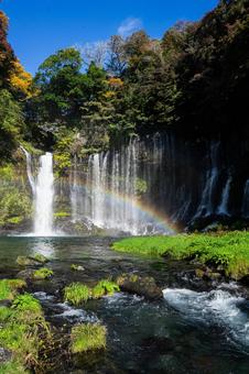 静岡 虹がかかる白糸の滝 静岡 虹がかかる白糸の滝 白糸の滝,静岡,滝の写真素材