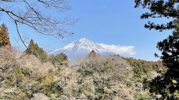 富士山絶景 富士山絶景 富士山,絶景,展望台の写真素材