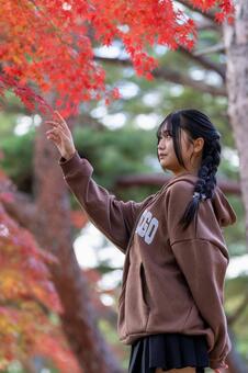 紅葉と女の子 紅葉,もみじ,秋の写真素材
