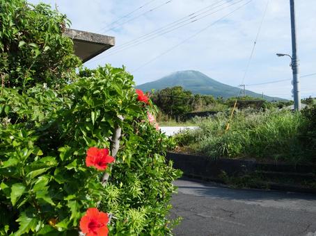 八丈富士とハイビスカス 八丈富士とハイビスカス 八丈島,八丈,伊豆諸島の写真素材