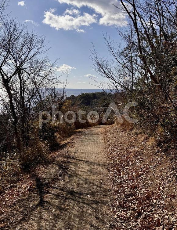 冬の散歩道から見る海 青空,青,空の写真素材