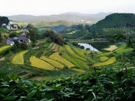 星峠の棚田 星峠,棚田,田んぼの写真素材