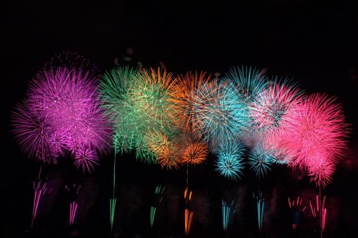 25年長岡まつり 花火 25年長岡まつり 花火の写真