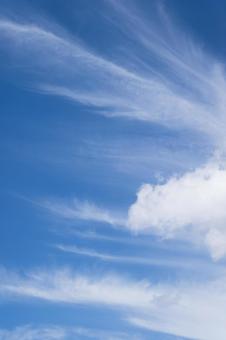 青空と雲(縦) 青空と雲(縦)の写真