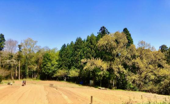 田舎 自然,風景,景色の写真素材